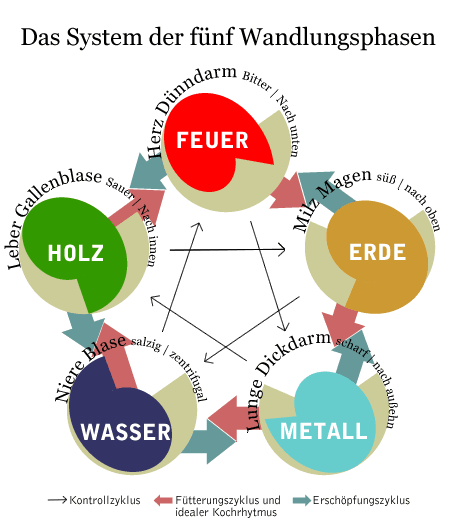 Die 5 Wandlungsphasen