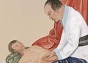 The Jingfang Case Studies and Medical Treatises of Dr. Lou Shao-kun 